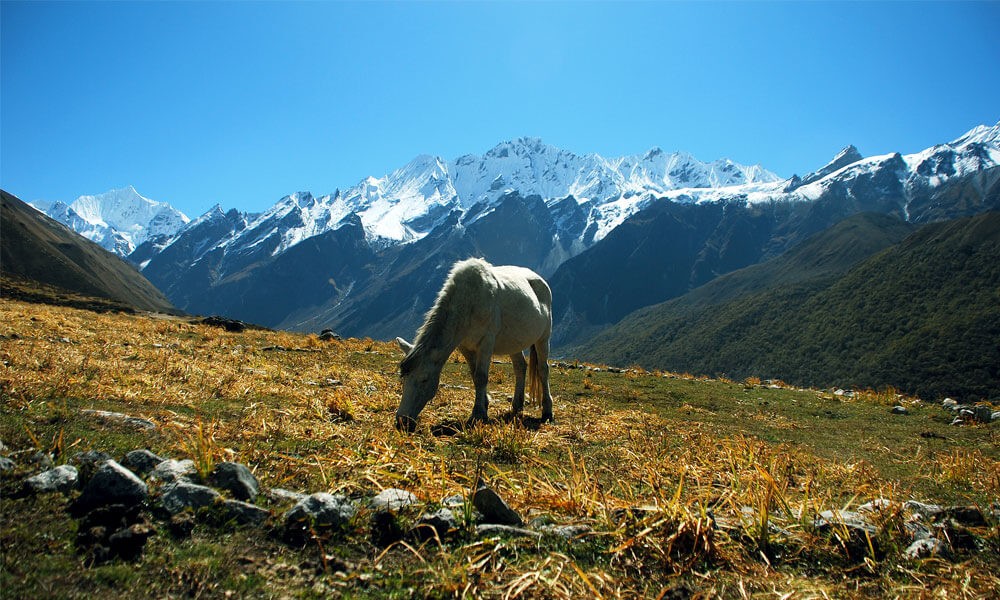 langtang-trek